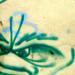 Graff ta gueule